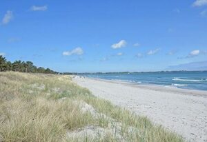 Strandgut