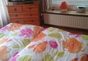 Haus Halliger, Appartment  Ilse