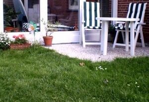 Haus Halliger, Appartment  Ilse