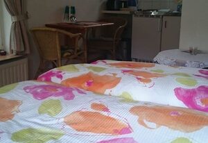 Haus Halliger, Appartment  Ilse