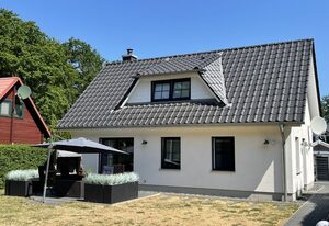 Kleine Möwe