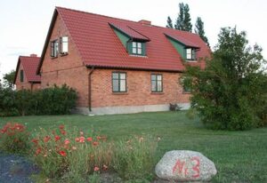 Gans in Ummanz-Lüßvitz