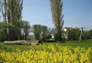 Gans in Ummanz-Lüßvitz
