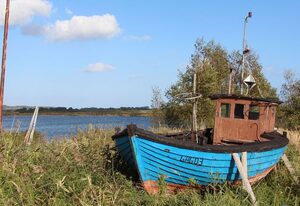 Tohus - Tamme