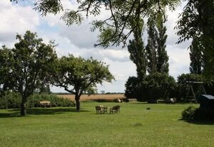 Möwe in Ummanz-Lüßvitz