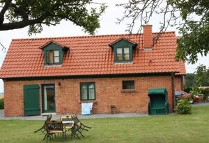 Kranich in Ummanz-Lüßvitz