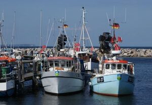 Reet-Hus Hanbutt in Glowe