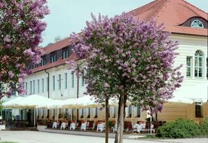 Schloss Hotel Dresden - Pillnitz – Doppelzimmer Komfort